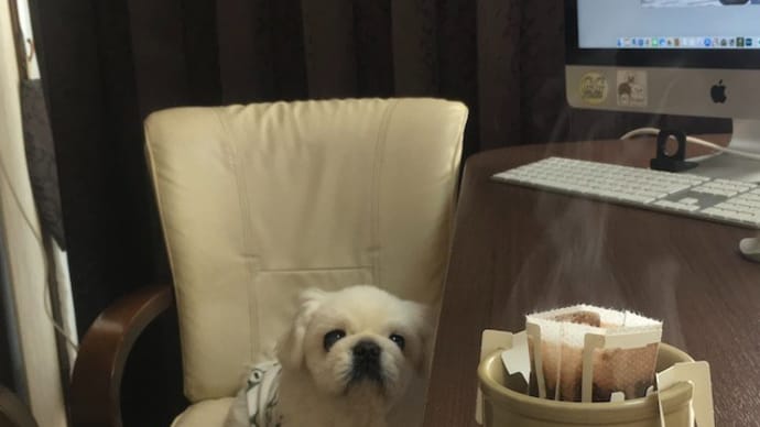 珈琲ドリップバッグホルダー製作 #DIY #pekingese