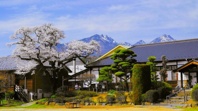 桜シリーズ　おいしい学校　山梨県北杜市