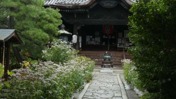 まち歩き (京都)