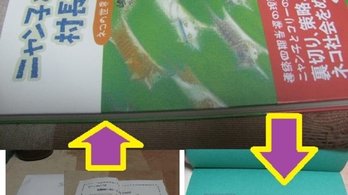 『ニャン子とコリーの村長選挙の本(どーも嶋均三ですからのプレゼント)』
