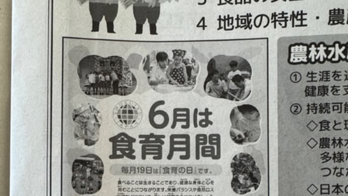 食育月間の新聞広告