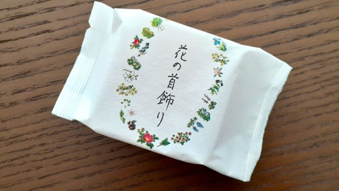おやつタイム IN 北海道 ： 梅シロップがしみるケーキをいただく＜六花亭＞