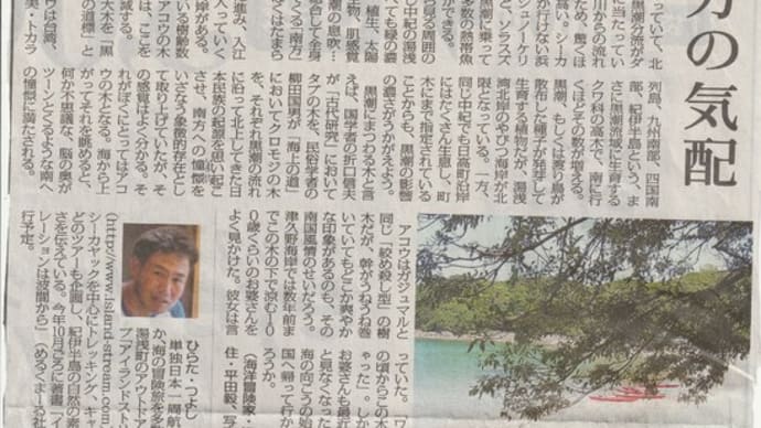 南方の気配