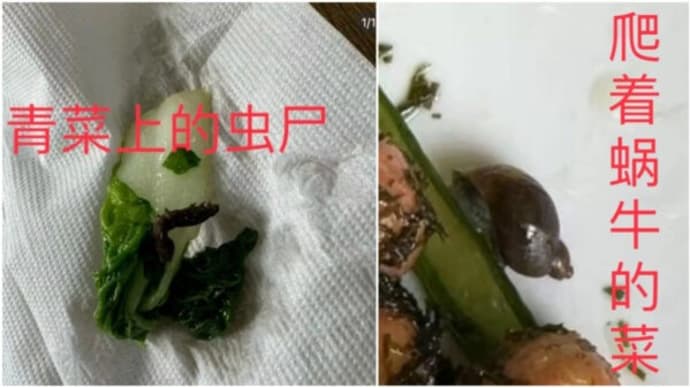 上海で最も良いとされる小学校 食堂の食材は「腐っていた」 給食を食べた生徒保護者はその場で嘔吐
