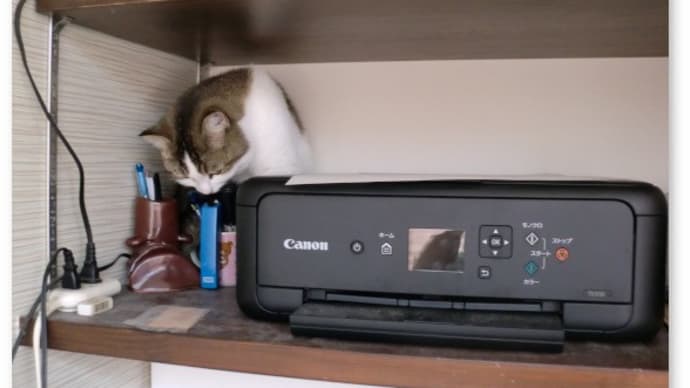 近ごろのボクの得意技は