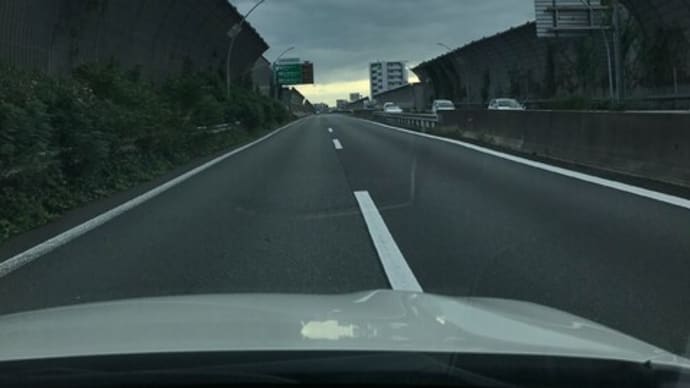 ことしさいごの朽木かな… ^^