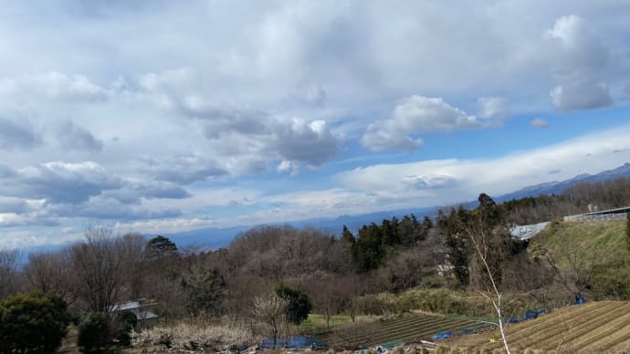 四月は君の嘘