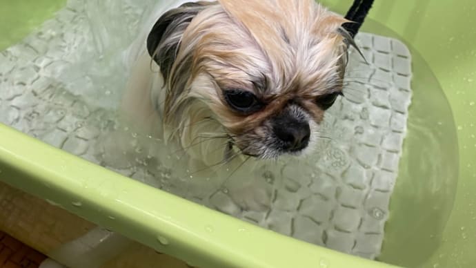 ご存知ですか??🐾