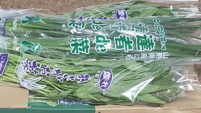 野菜を沢山手に入れました😚🌱🌱🌱
