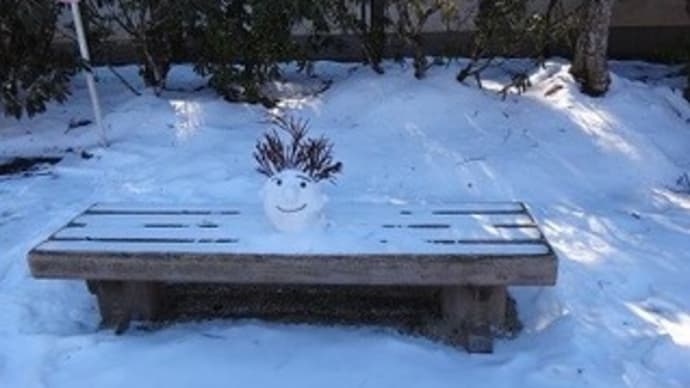 雪の高野を訪ねて4