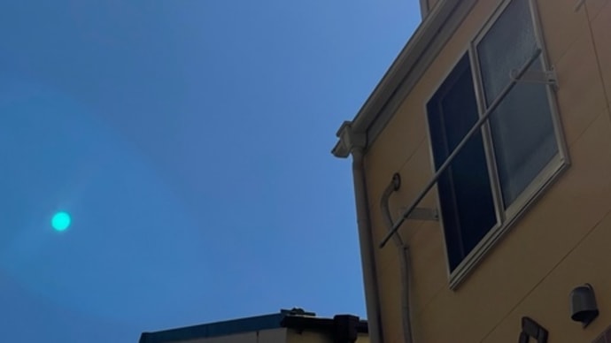 最近鳥が庭に来る