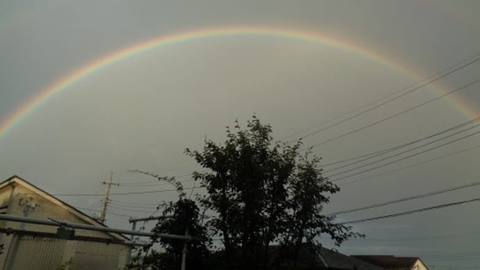 虹