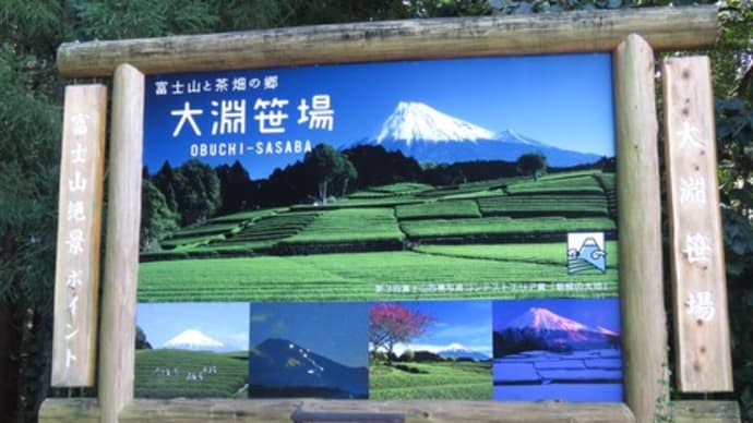 大渕笹場の富士山とお茶畑