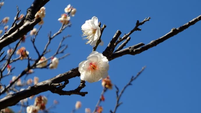 交錯する想い...