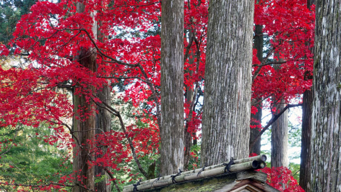 古峯神社で紅葉狩り(続き)