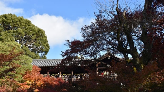 もみじ狩り　3日目ー④　京都市東山区本町　東福寺（2）洗玉澗から通天橋