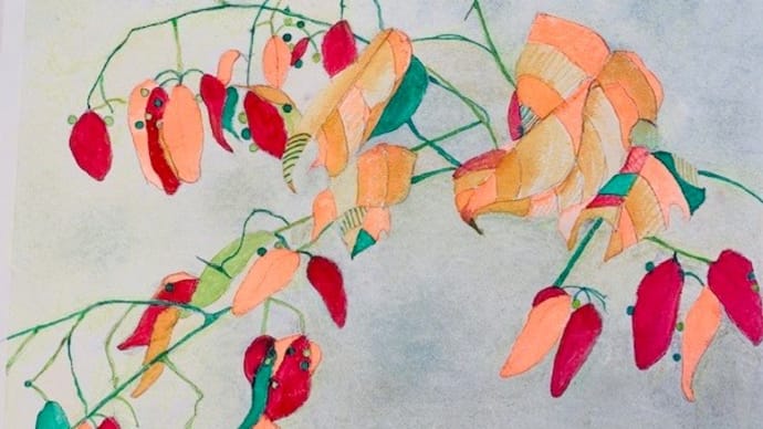 〈悩みのるつぼ〉*絵画教室、桐のドライフラワー完成*アジアンタム