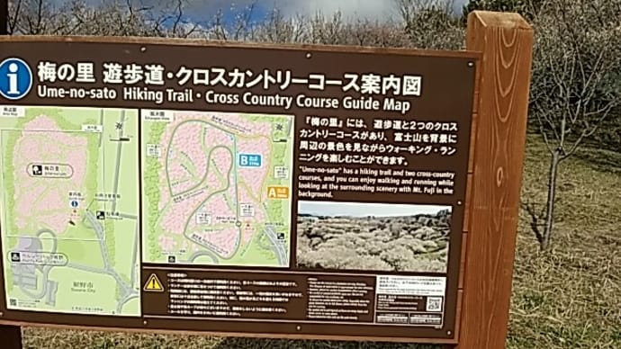 240226 裾野市梅が里遊歩道に行ってきた