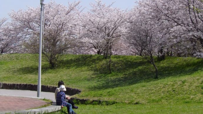 花疲れする。
