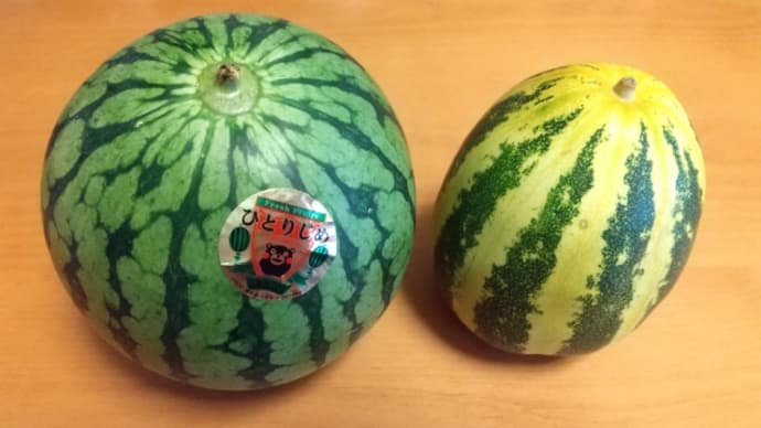 火の君マルシェでお買い物