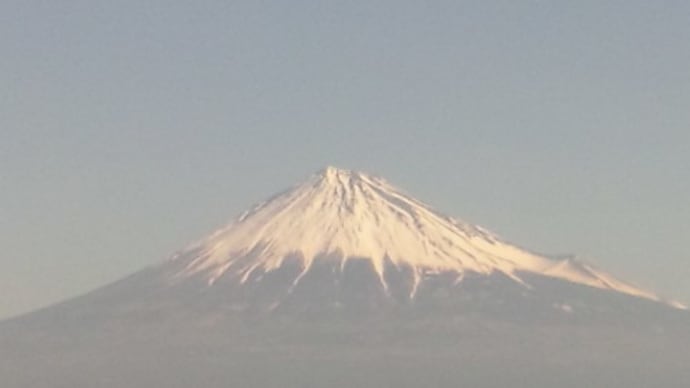 静岡・清水港みなみで日替り丼