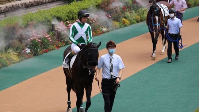 頑張れ!3歳未勝利戦5