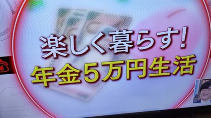 テレビ番組を見て。家じまいと節約アドバイザーの言葉&シニアにとってリスクな家事とは