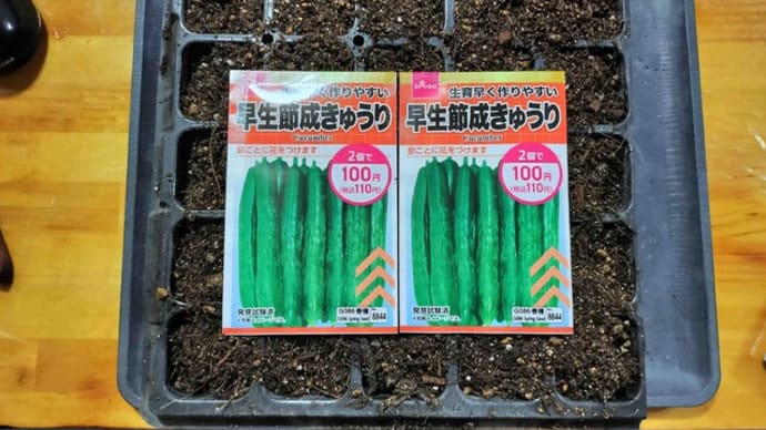 何回目か?キュウリの追加…