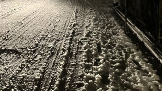 大雪~先斗町~祇園町南側