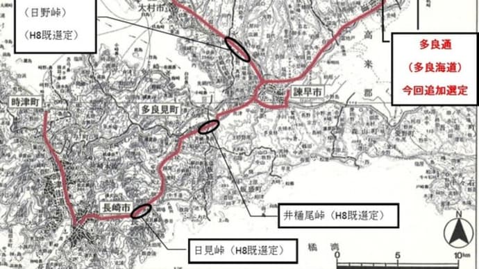 周囲に同調して生きる能力無いですから…😅