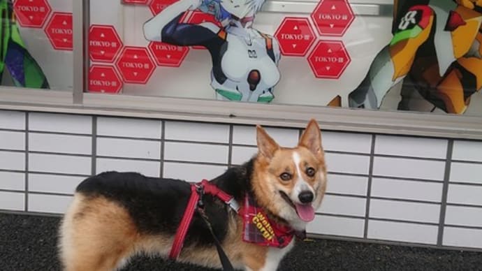 アニメの聖地、箱根です♪