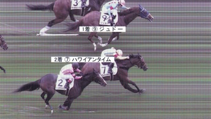 日曜日の出走(結果・エストレヤデベレンが待望の2勝目♪ &ジュドーが嬉しい2勝目♪)