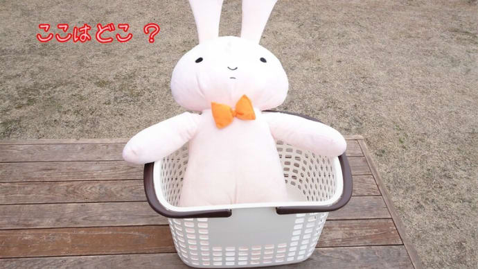 ネネちゃんの うさぎ
