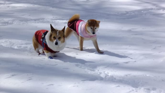 雪中デート♪