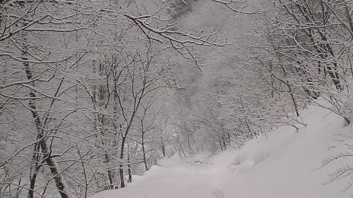 2010/01/12（火）：雪景色