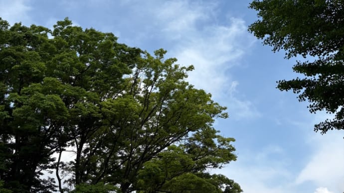 久々の再会、ズケズケで爆笑の日