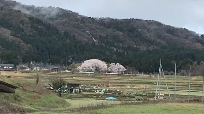 草取りのご依頼