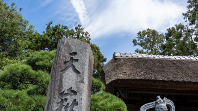 美しい伽藍【天嶽院】海沿いの渋滞を避けて寄り道したのは念願のあの寺。