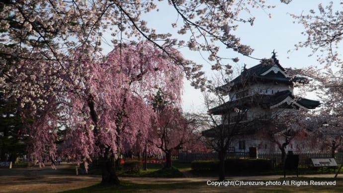 2025みちのく三大桜名所・弘前公園