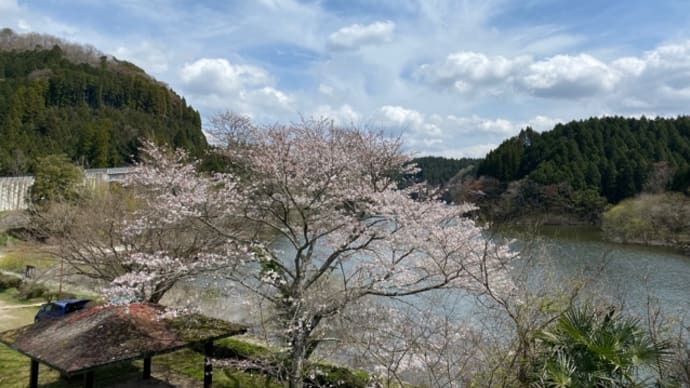 自分をもっと甘やかしてもいい日