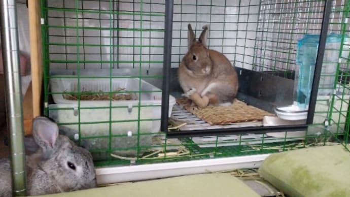 そこ、君んちじゃないから。