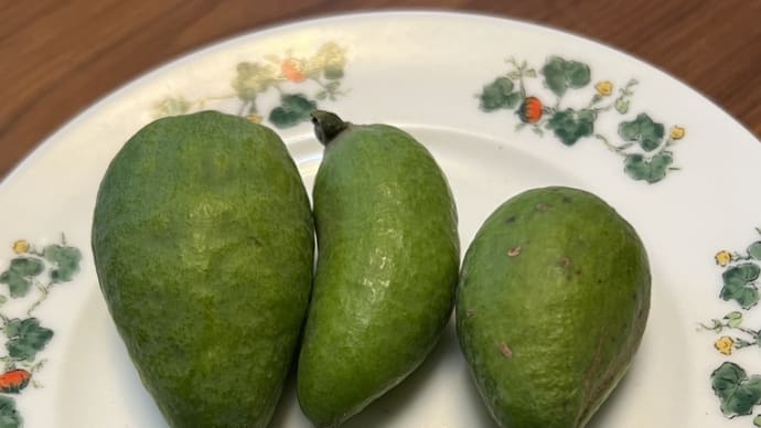 果物栽培 成熟期と収穫期