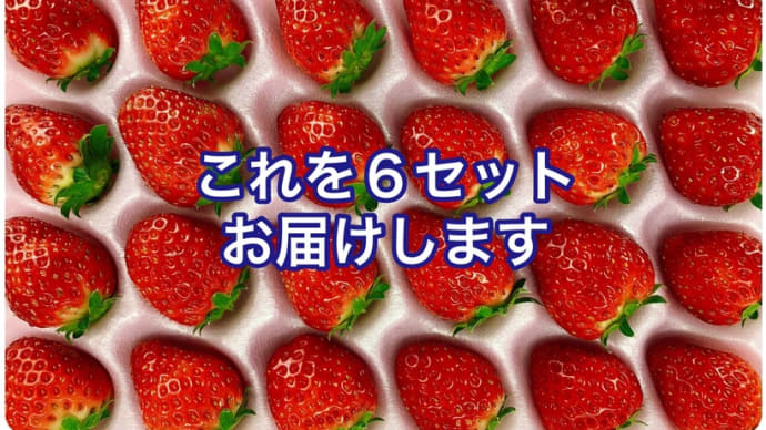 #お家でいちご狩り 🍓Season2〜夏秋いちご〜