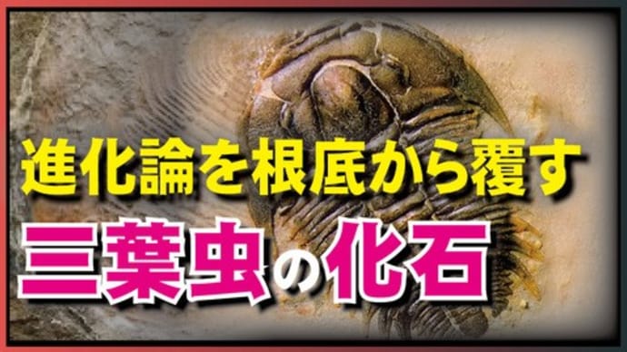 進化論を根底から覆す 三葉虫の化石に足跡が!