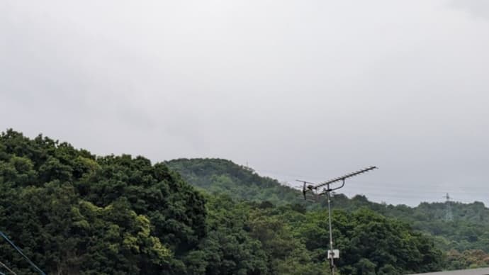 石長比売神の言葉 雨が降ったり止んだりでした