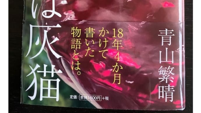11月11日発売「わたしは灰猫」(2020-09-20 06:47:43)