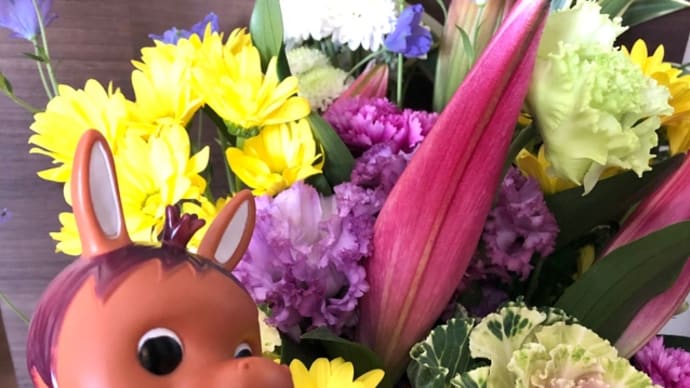 ロバくんとお部屋で花見