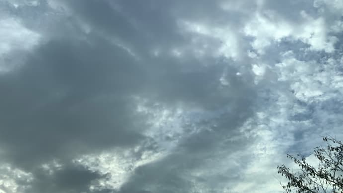 危機管理能力の低下