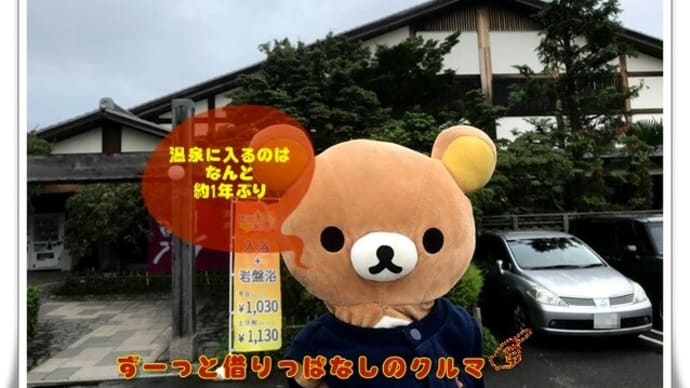 天然温泉 真名井の湯