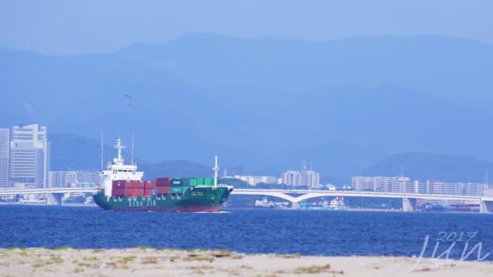 貨物船in博多湾